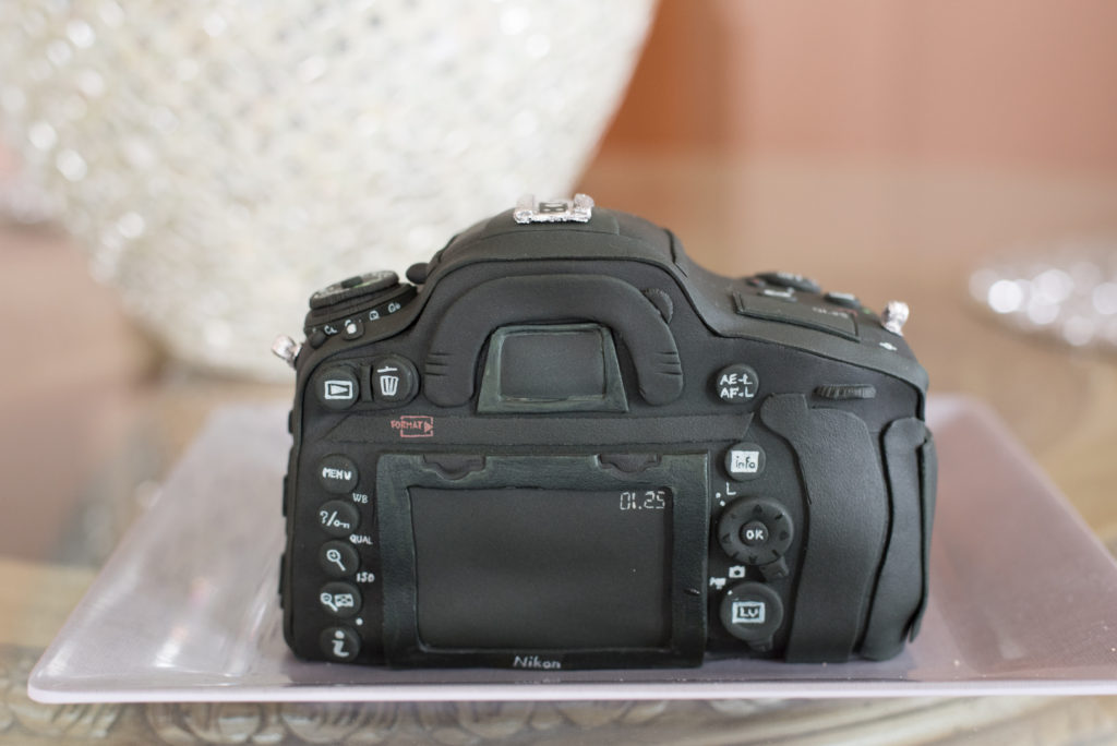 Camera Cake-7