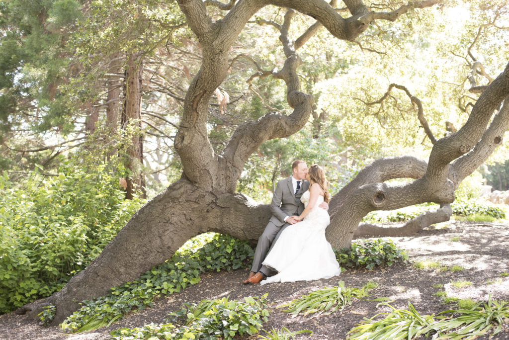 Sitting on the big oak tree